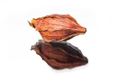 《堡垒之夜》联动特斯拉Cybertruck 似乎并不受玩家和开发者待见